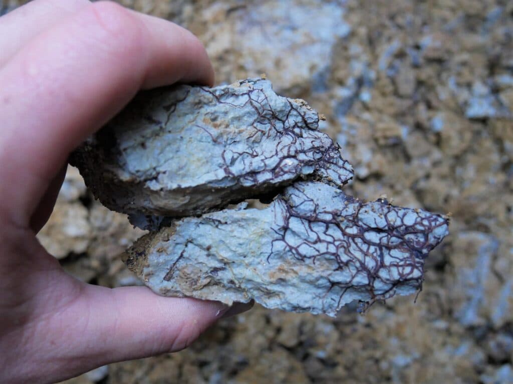 Blue clay from the soils of Chateau de Ferrand