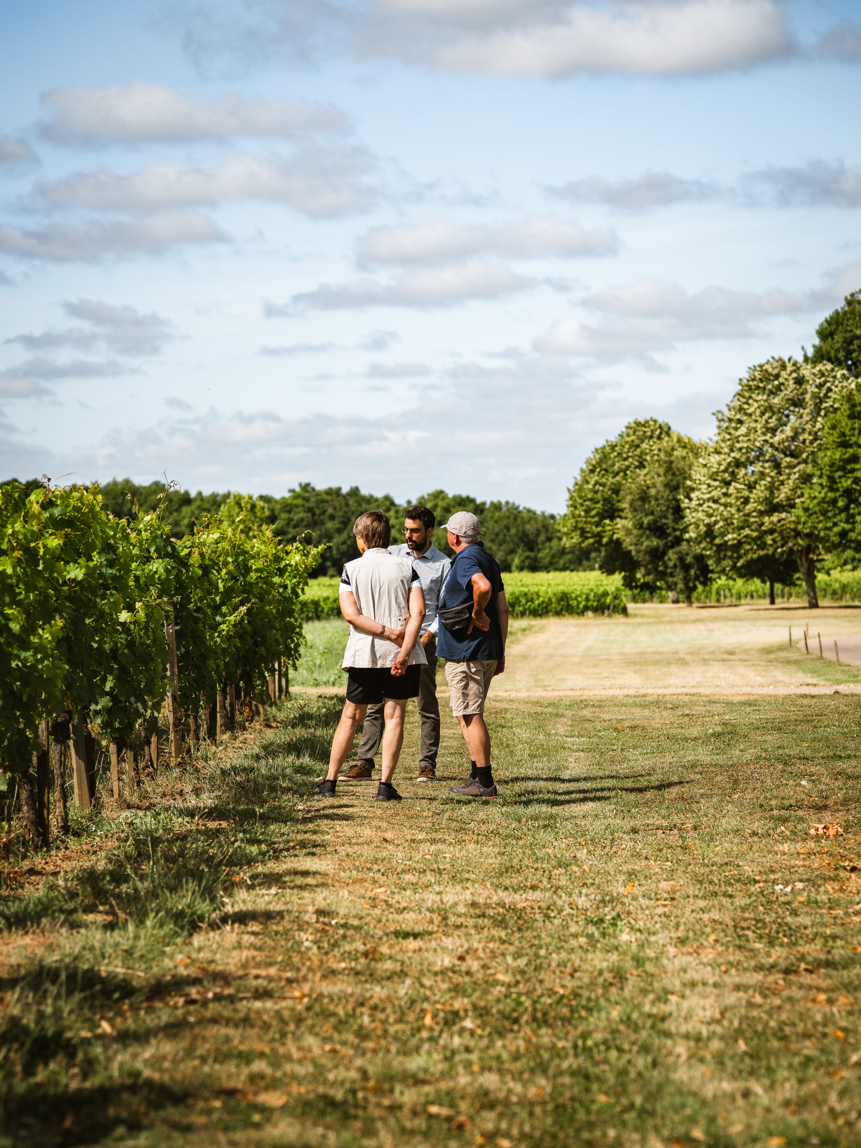 vignoble©ccoutaud (17) compressed